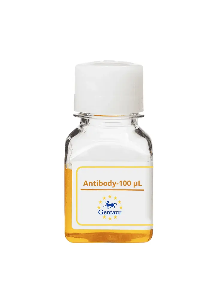 ALLC antibody   