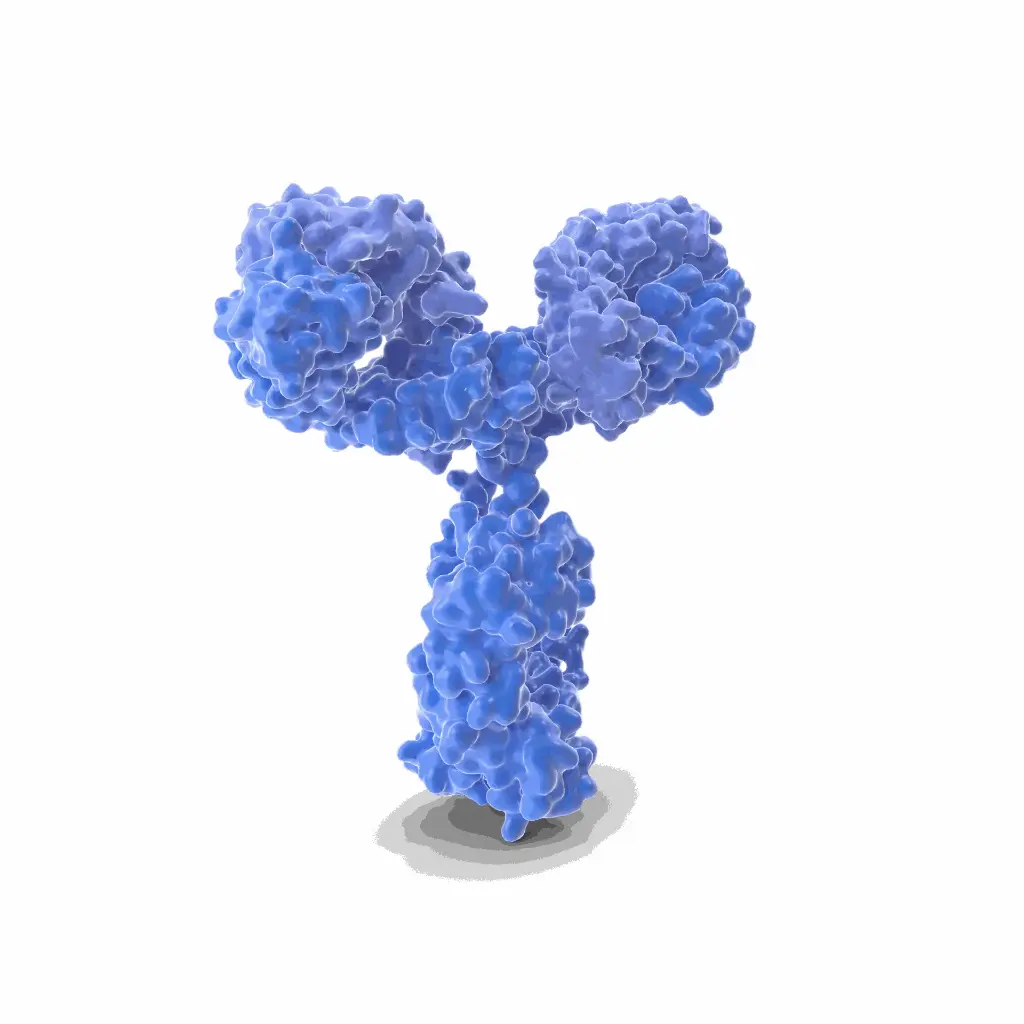 APEH Antibody  Biotin conjugated   