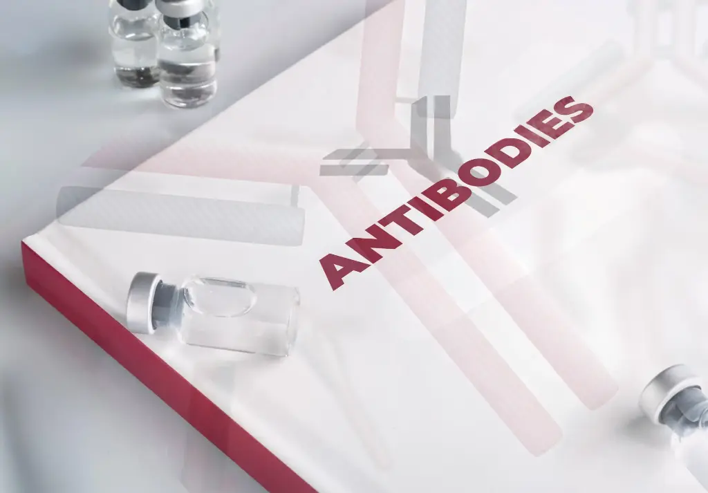 Anti-CHRNA9 - Antibody