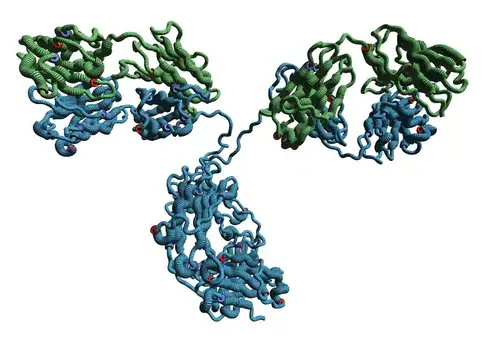 Anti-DJ-1 (Human) mAb (Clone: 3E8)