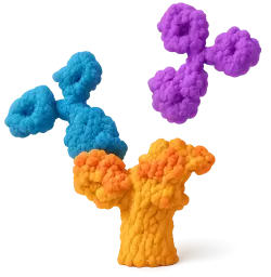  CCDC99 Rabbit pAb (50 µl)