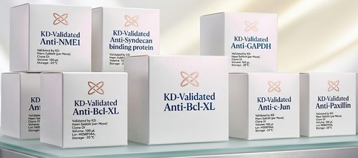 [AGI1157-100] KD-Validated Anti-CLIP1 Rabbit Monoclonal Antibody