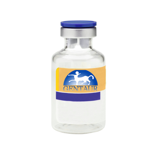 [GEN - PL11-050] Recombinant Human Siglec-8, His Tag