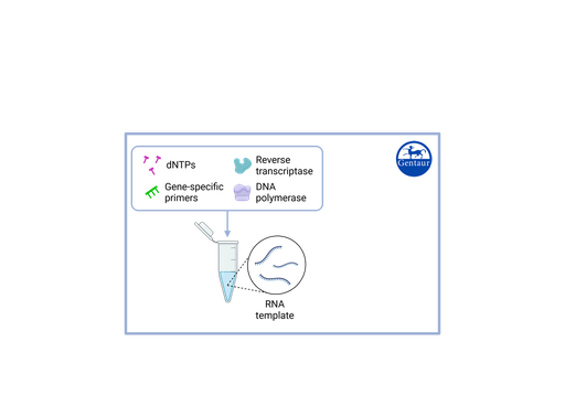 [R3-​P436-​S3/9] RT PCR Test Kits  SARS